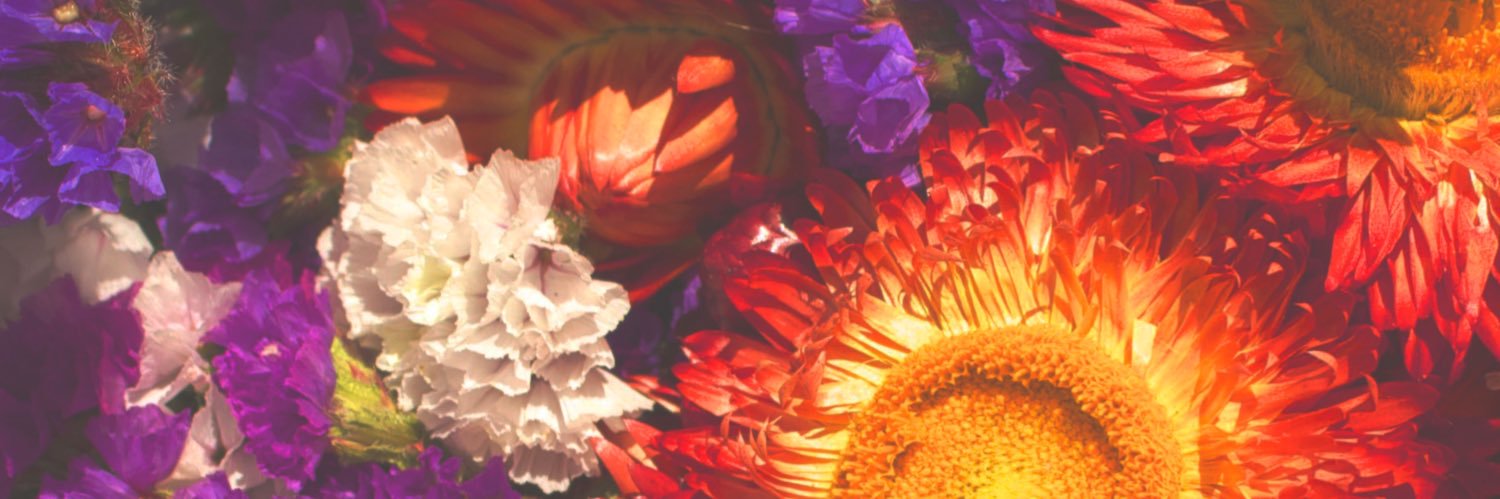bcpl2111's profile banner image