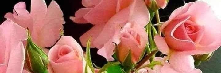 DRdebbiehorton's profile banner image