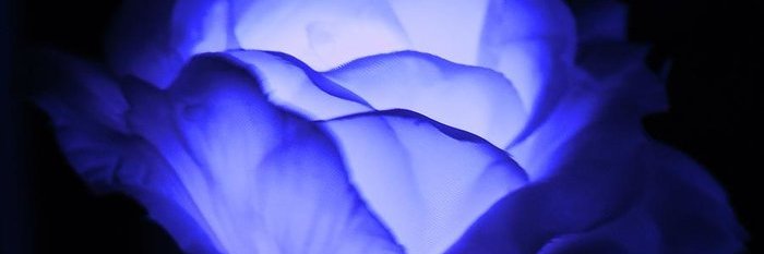 kimbisyosaaaa's profile banner image