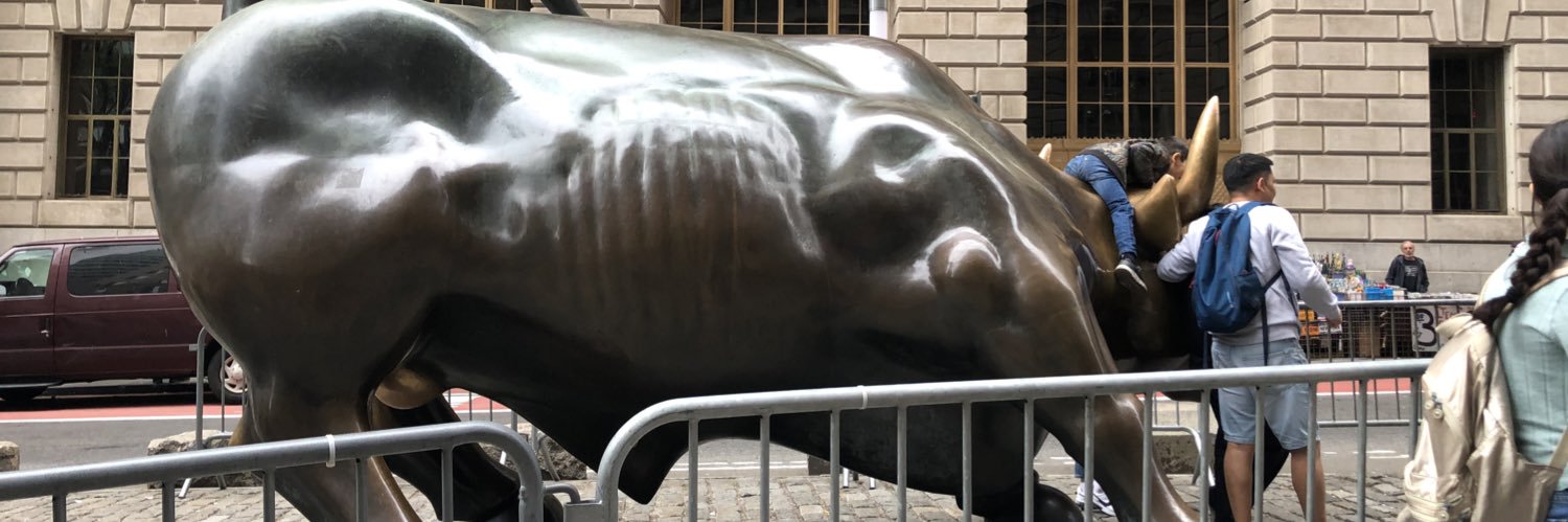 African_Bull banner