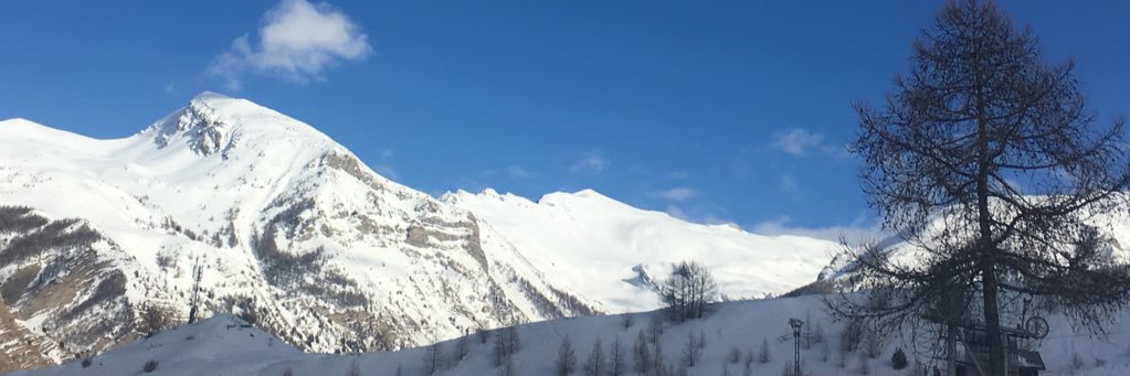 caro831's profile banner image