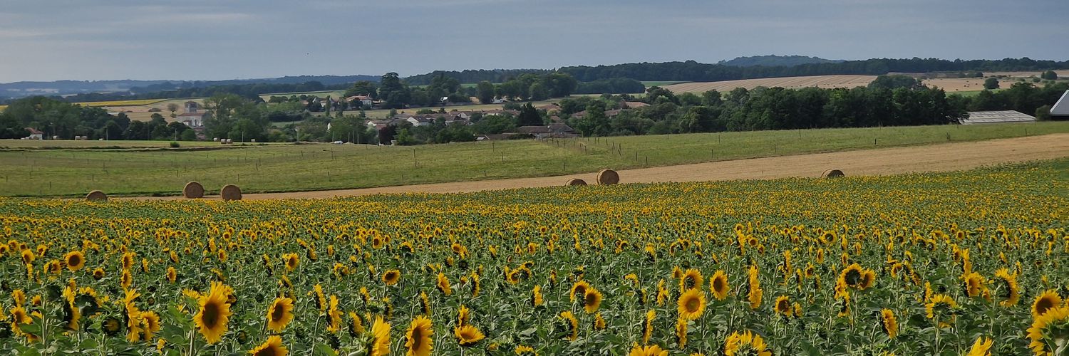 Flowerfred's profile banner image