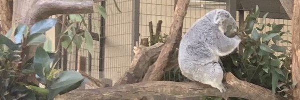 agazoe Profile Banner