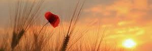 ISA_1575's profile banner image