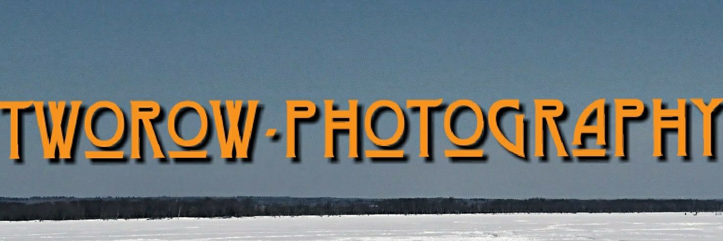theottawachef's profile banner image