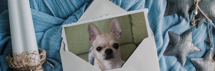 マロン banner