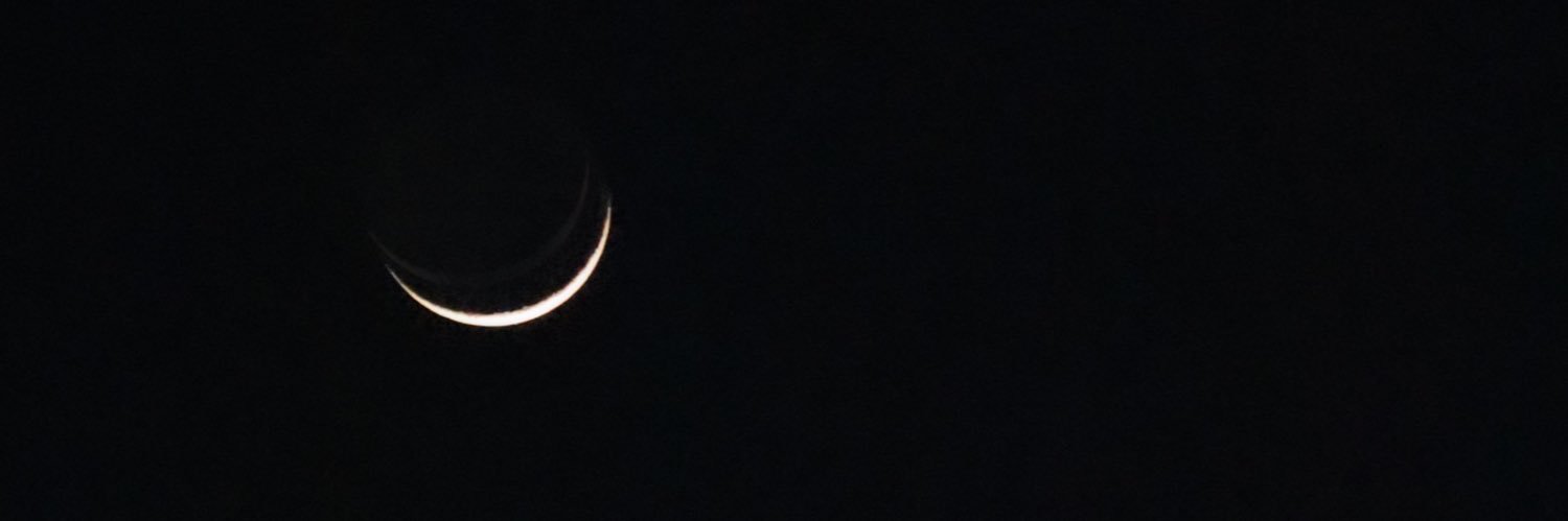 modchik's profile banner image