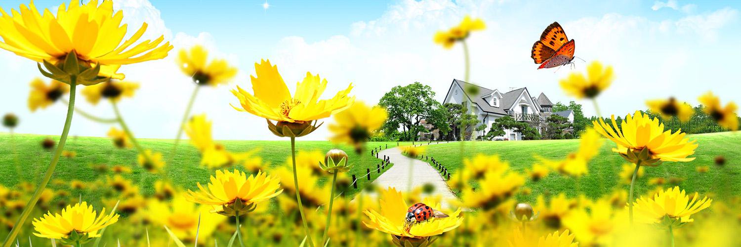 CL4up's profile banner image