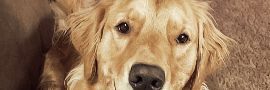 Braxton21Hart's profile banner image