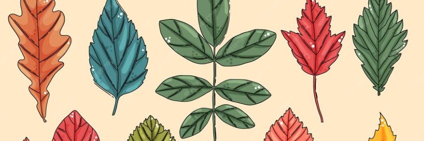 PorcelainBlac's profile banner image