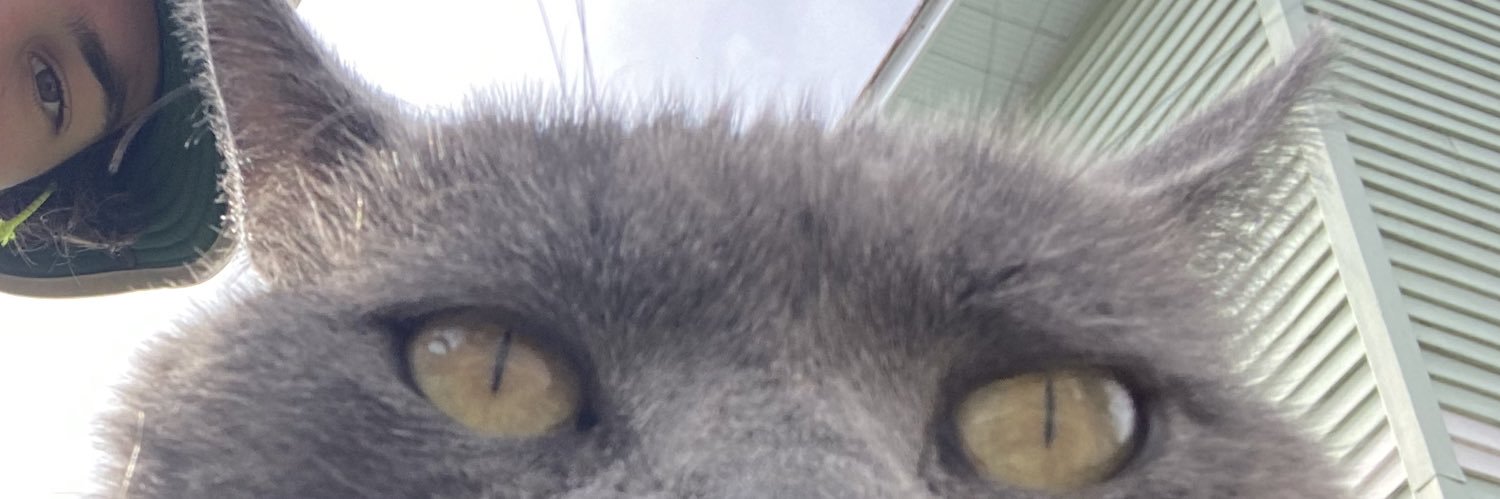 chelovekar's profile banner image