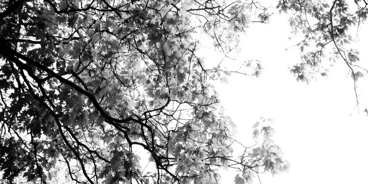 CleoLTZ's profile banner image
