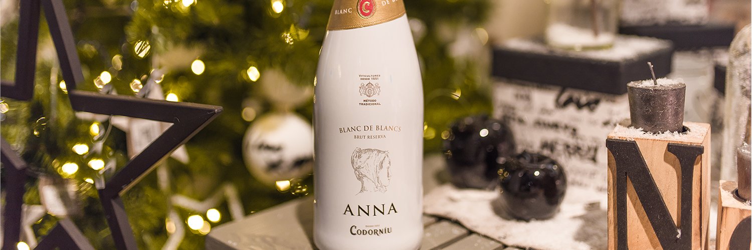Anna de Codorniu banner