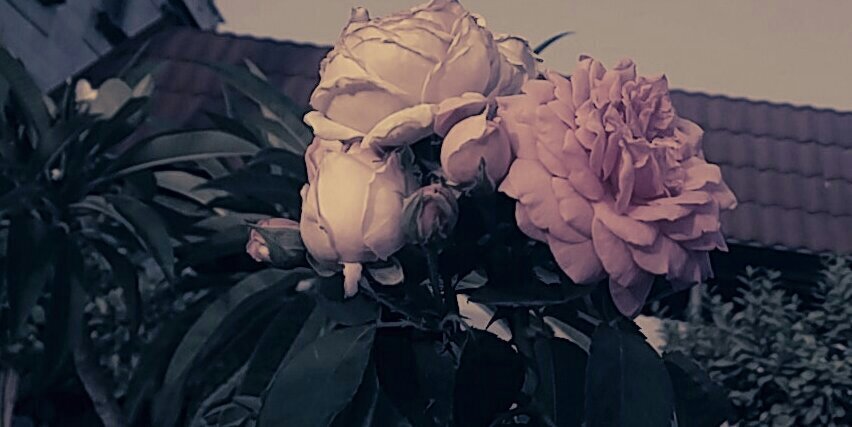 demh211's profile banner image