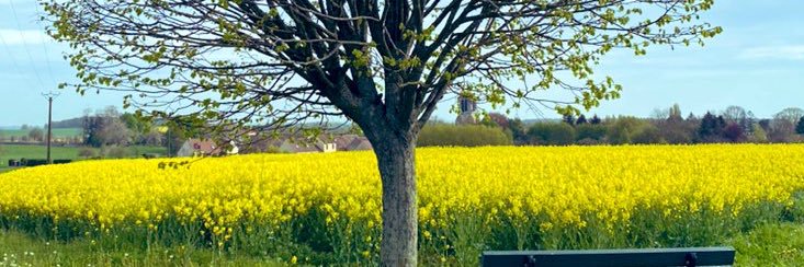 Jonathan B. H banner