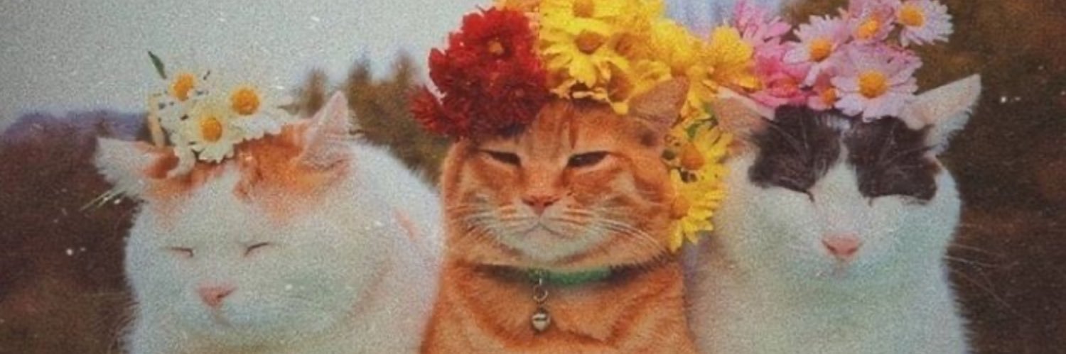 Colsuzbedevii's profile banner image