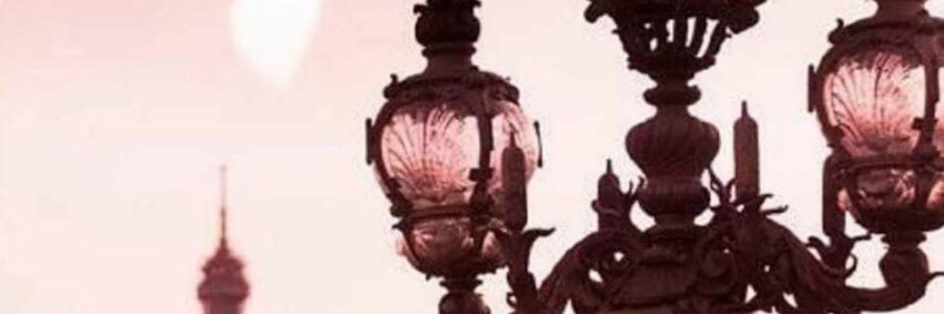🌸もなか🌸 banner