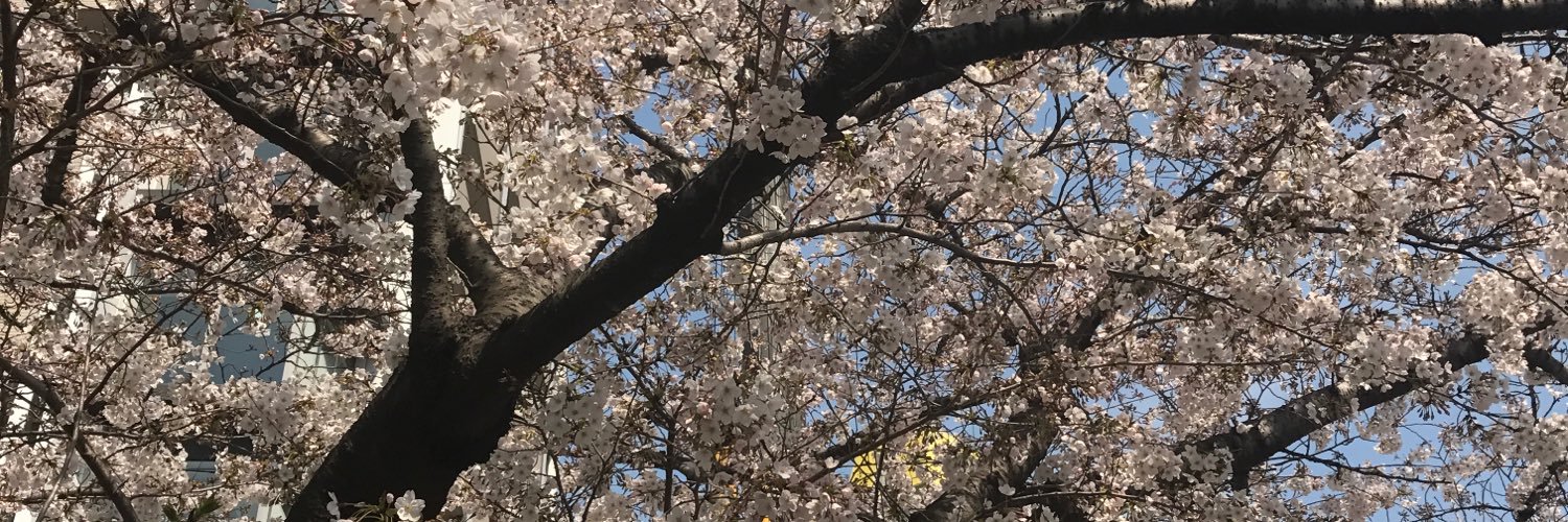 M9RVEN's profile banner image
