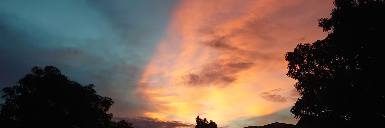 DashPing's profile banner image