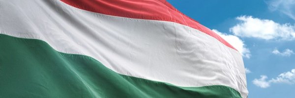 DettiBernadette Profile Banner