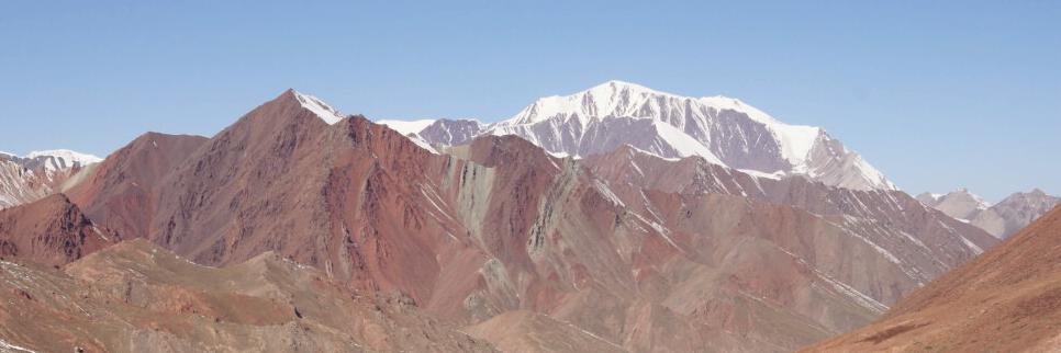 Silvia Lawrence banner