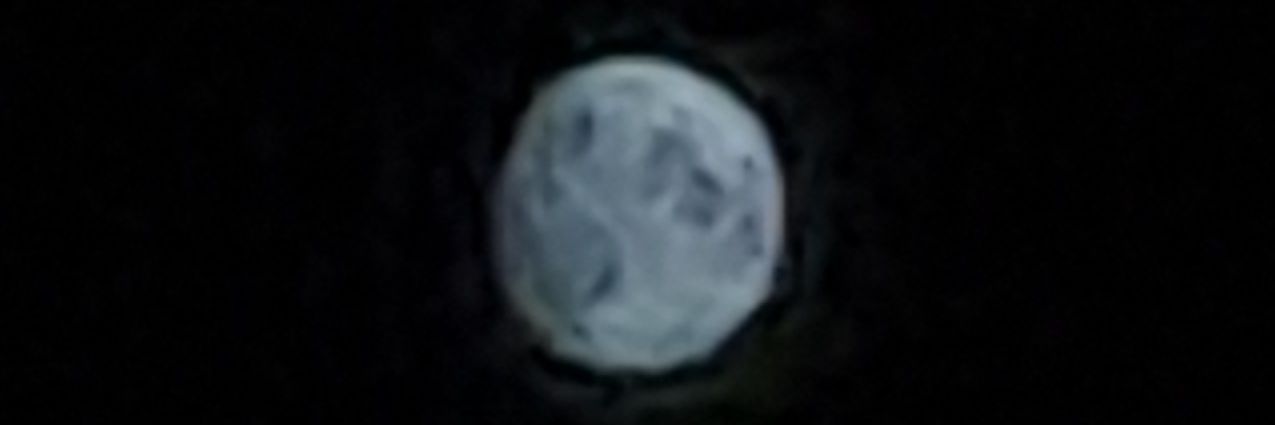 JFRaimonda's profile banner image