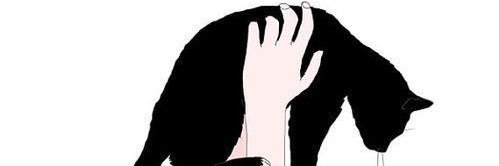 iaiksopp's profile banner image