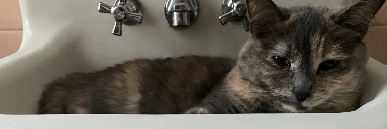 getculverized's profile banner image