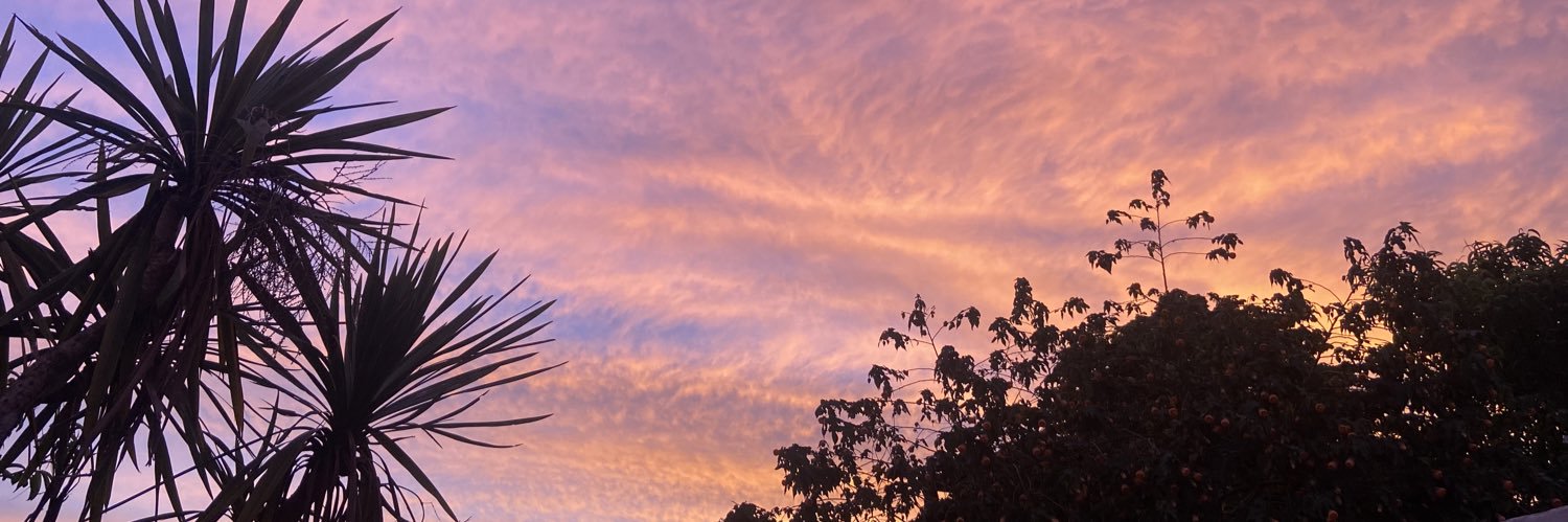 YuGonzalez19's profile banner image