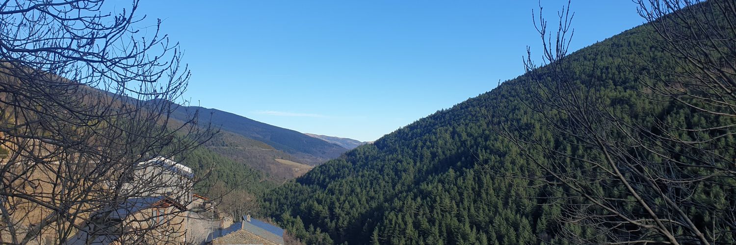 DohaZamel's profile banner image