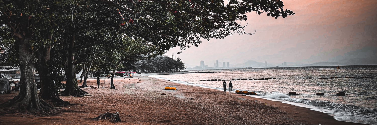 Robert Cameron banner