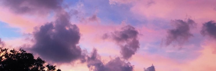 mnysmd's profile banner image