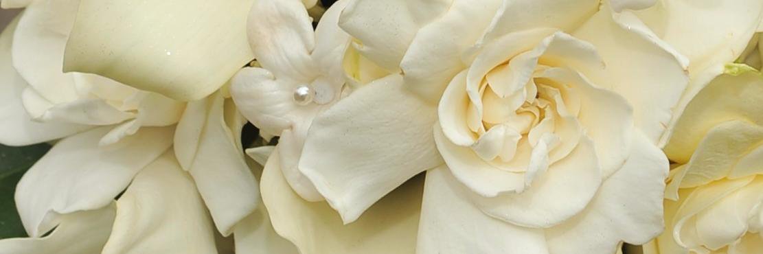 WeddingConnectionsHV banner