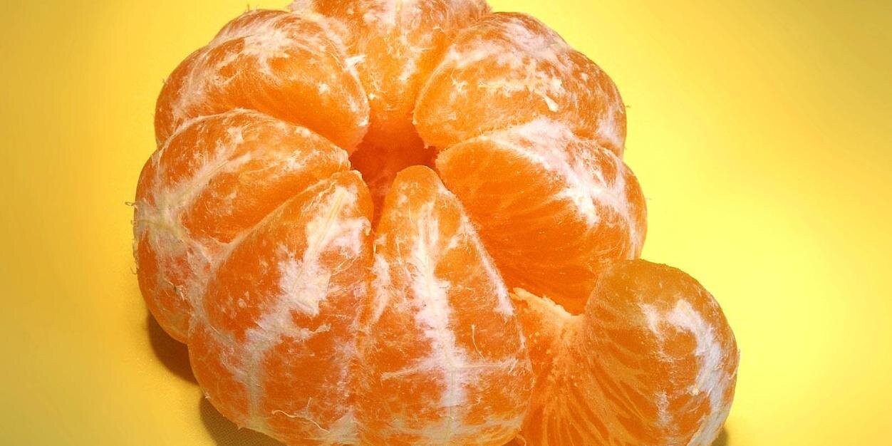 pautturis's profile banner image