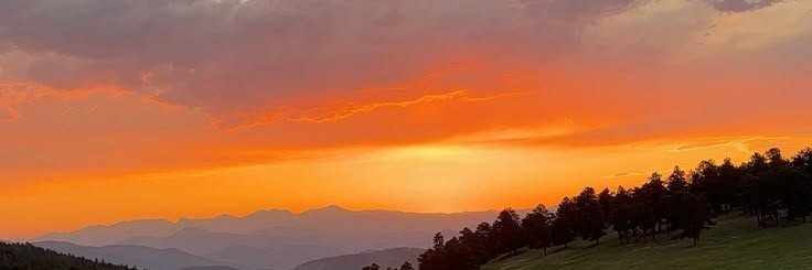 lizabeth1912's profile banner image