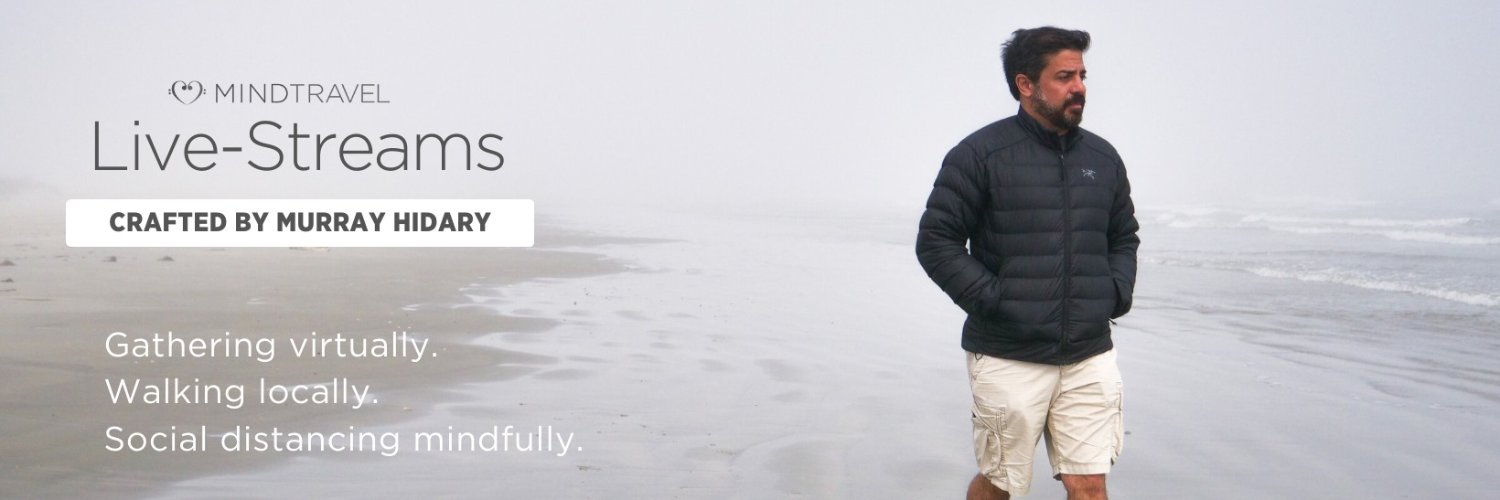 Murray Hidary banner