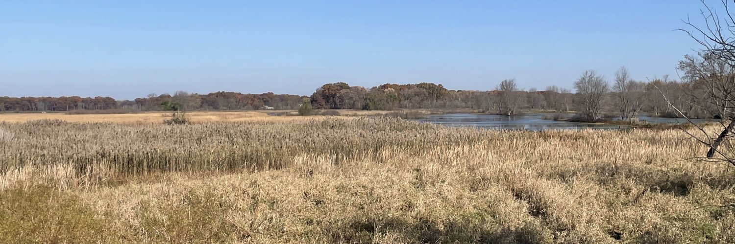 Brandon Cerecke banner