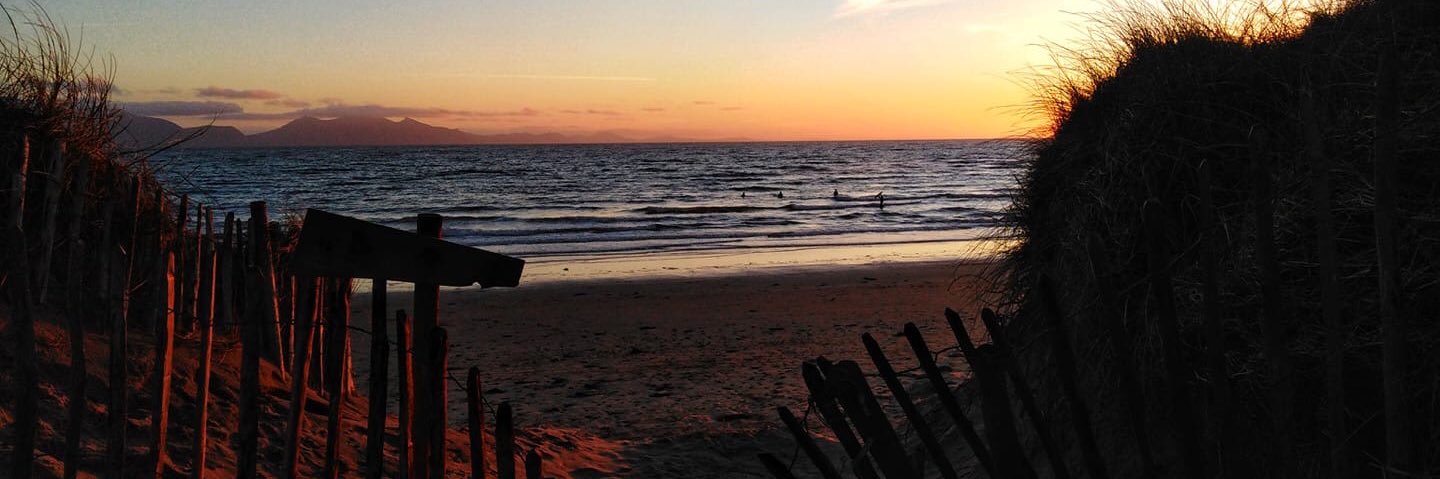 Anella Bennett banner