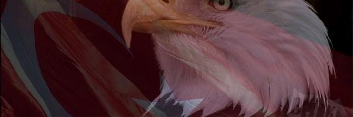 serciozb's profile banner image