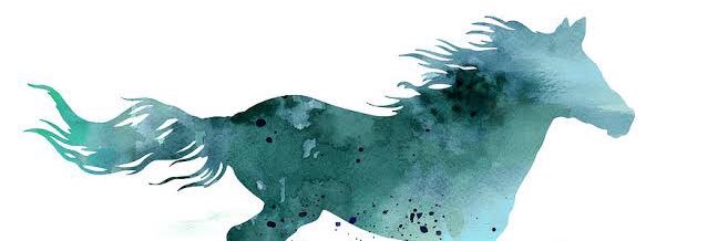 burkayalgul's profile banner image