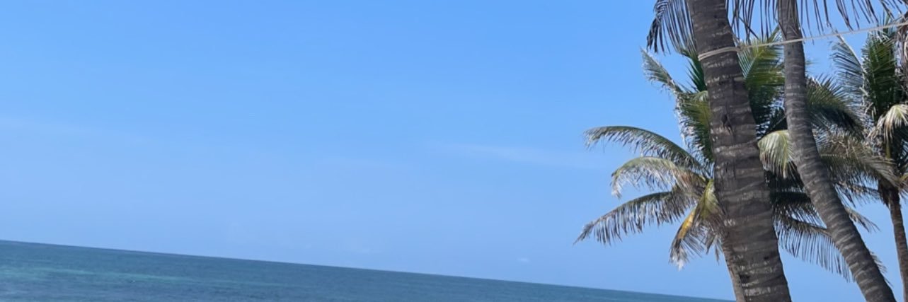 desslott's profile banner image