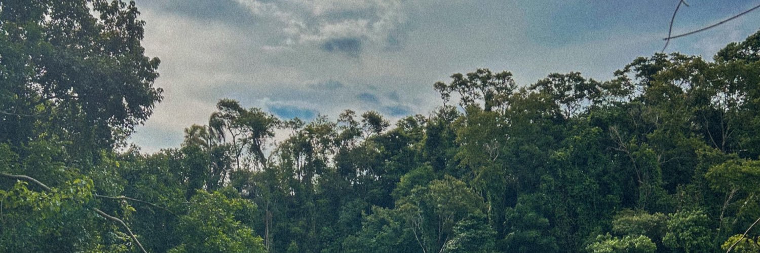 Bê Corvino banner