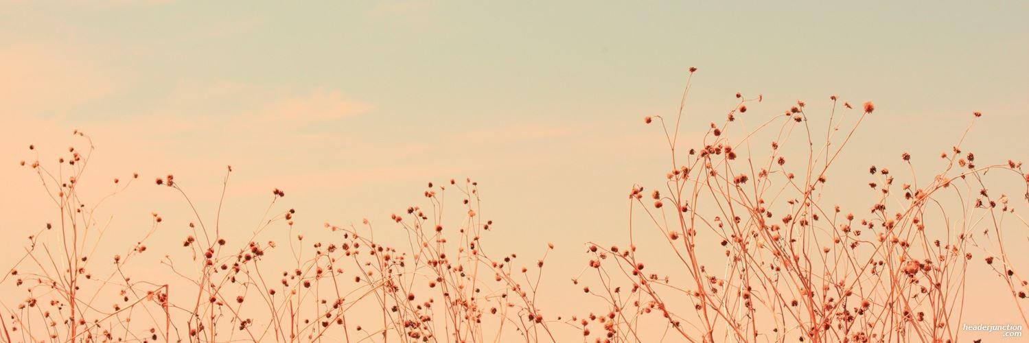 fyfqh's profile banner image