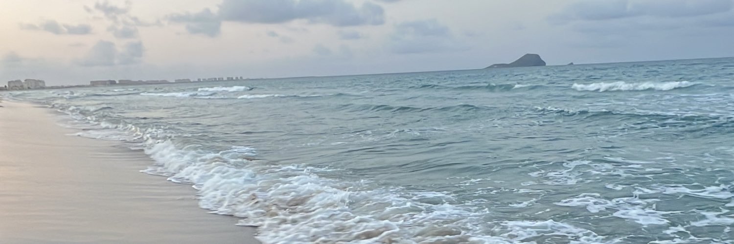 anayste's profile banner image