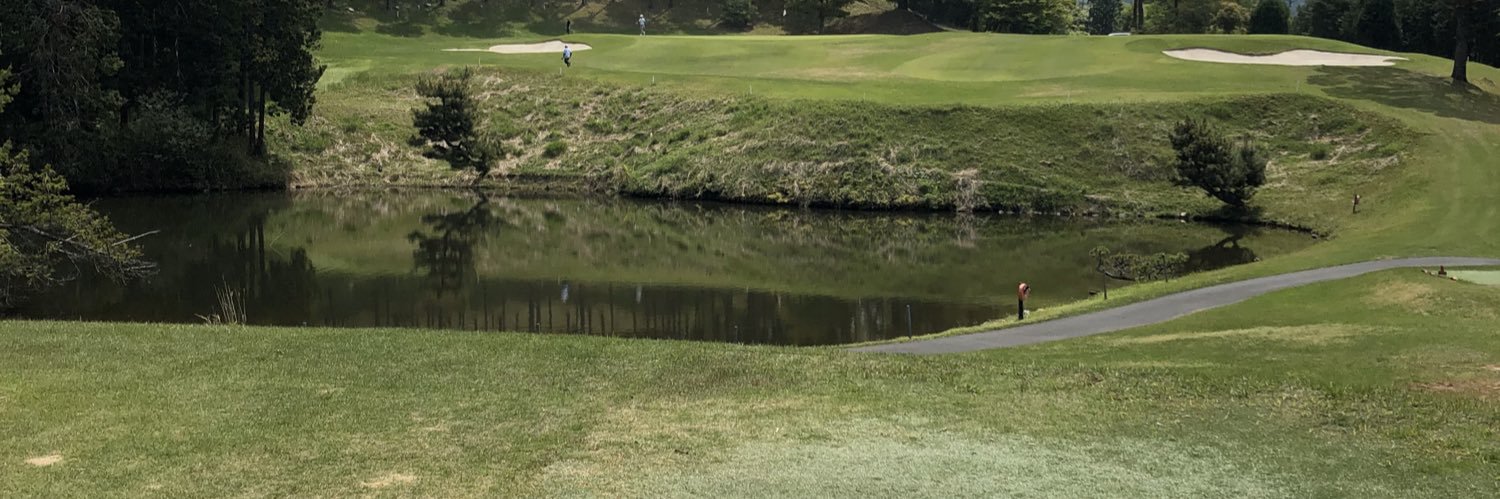 BLAZE スイフトスポーツZC33S&シビックタイプRFD2乗り banner