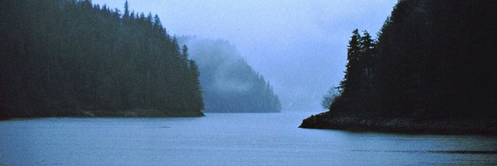 MidWaySociety's profile banner image
