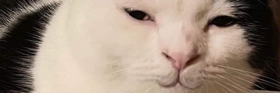 Jorminus's profile banner image
