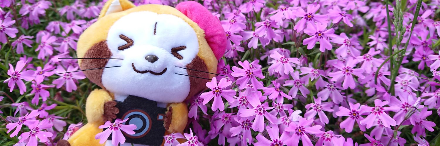 wildbeastlove's profile banner image