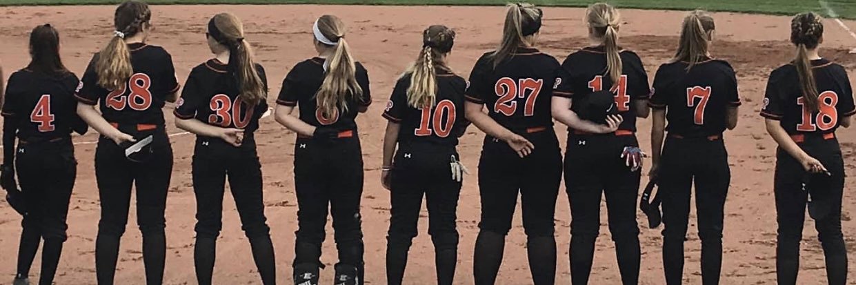 LaPorte Softball banner