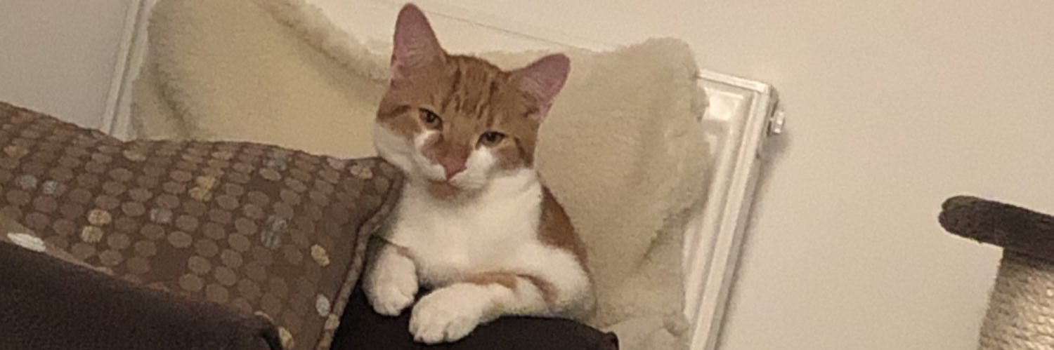 laurzzj24's profile banner image